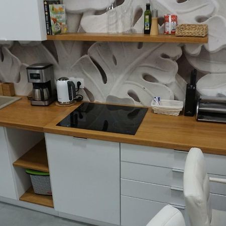 Apartament Starowislna クラクフ エクステリア 写真