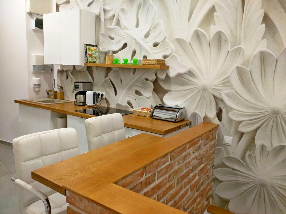 Apartament Starowislna クラクフ エクステリア 写真
