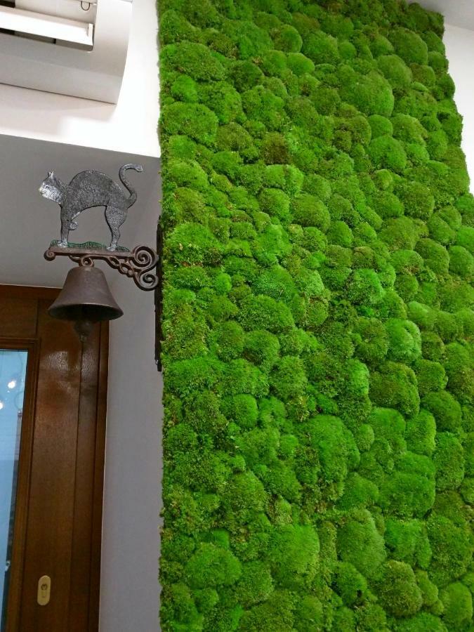Apartament Starowislna クラクフ エクステリア 写真