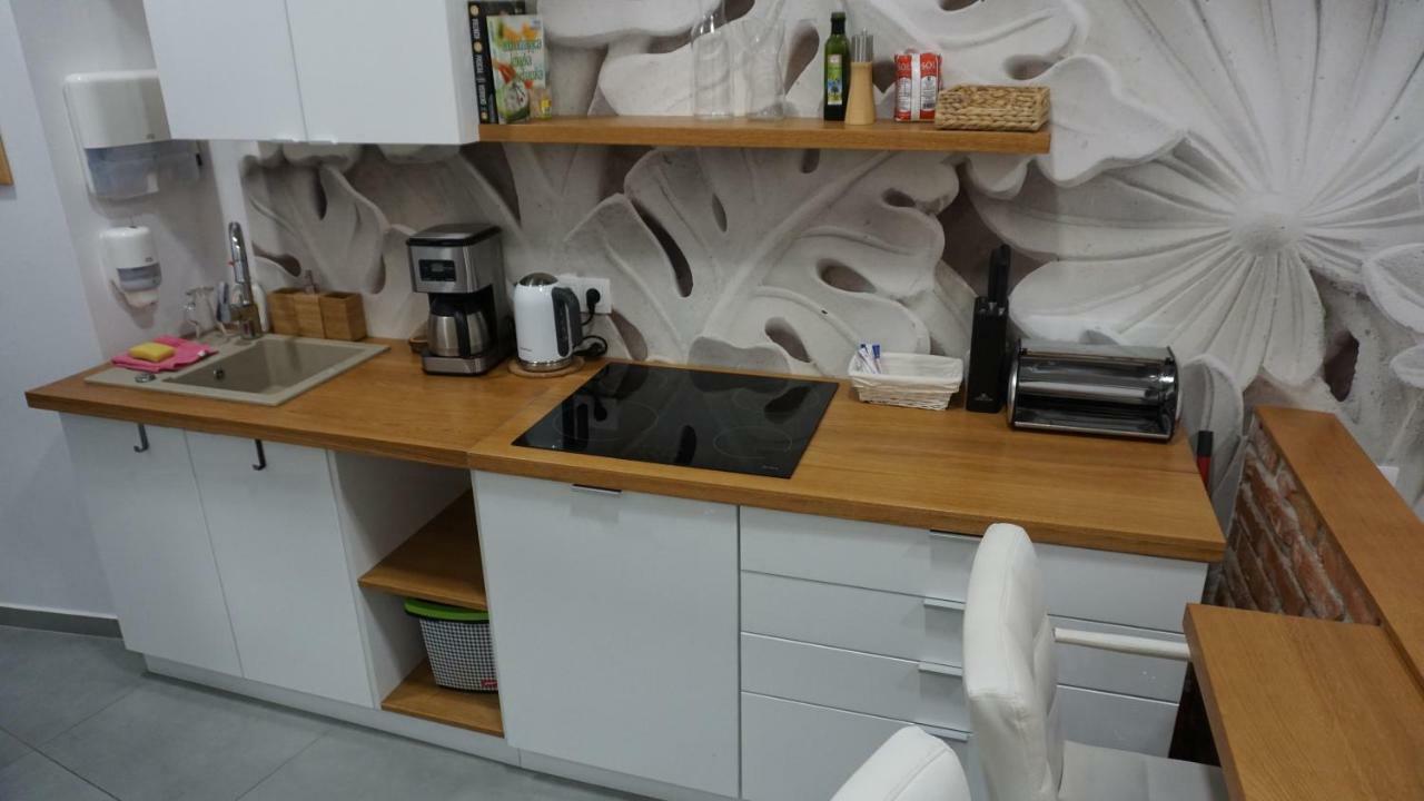 Apartament Starowislna クラクフ エクステリア 写真